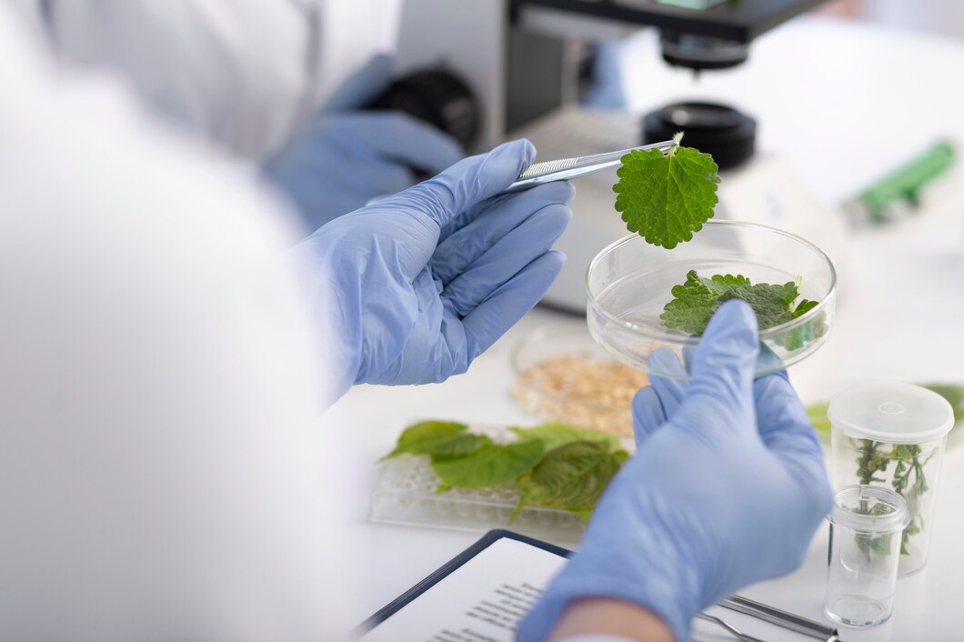 Odkrywanie tajników kuchni molekularnej – nauka spotyka smak